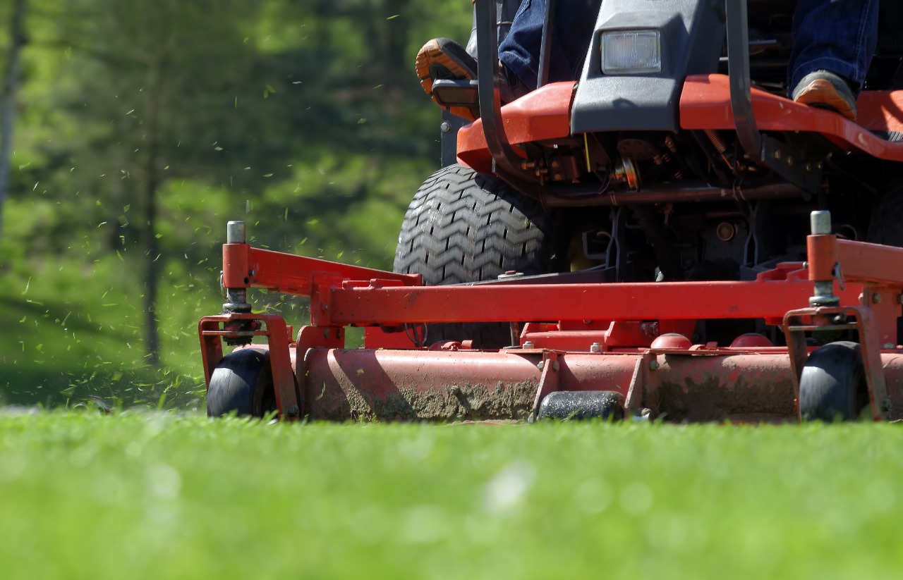 Análise e projeto de sistema de corte para manutenção de jardins