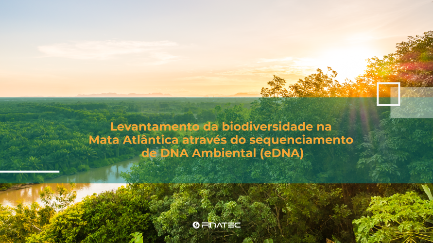 Estudo irá mapear por meio de estudo de DNA ambiental biodiversidade Mata Atlântica