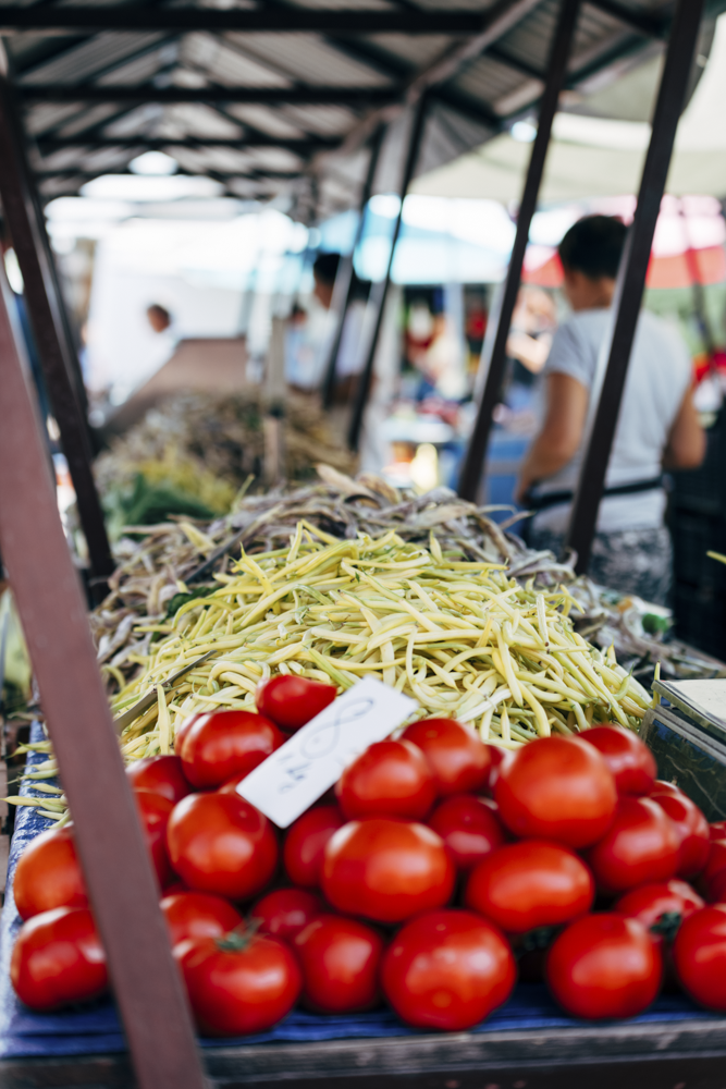 Finatec participa da IV Feira do Produtor Rural da UnB